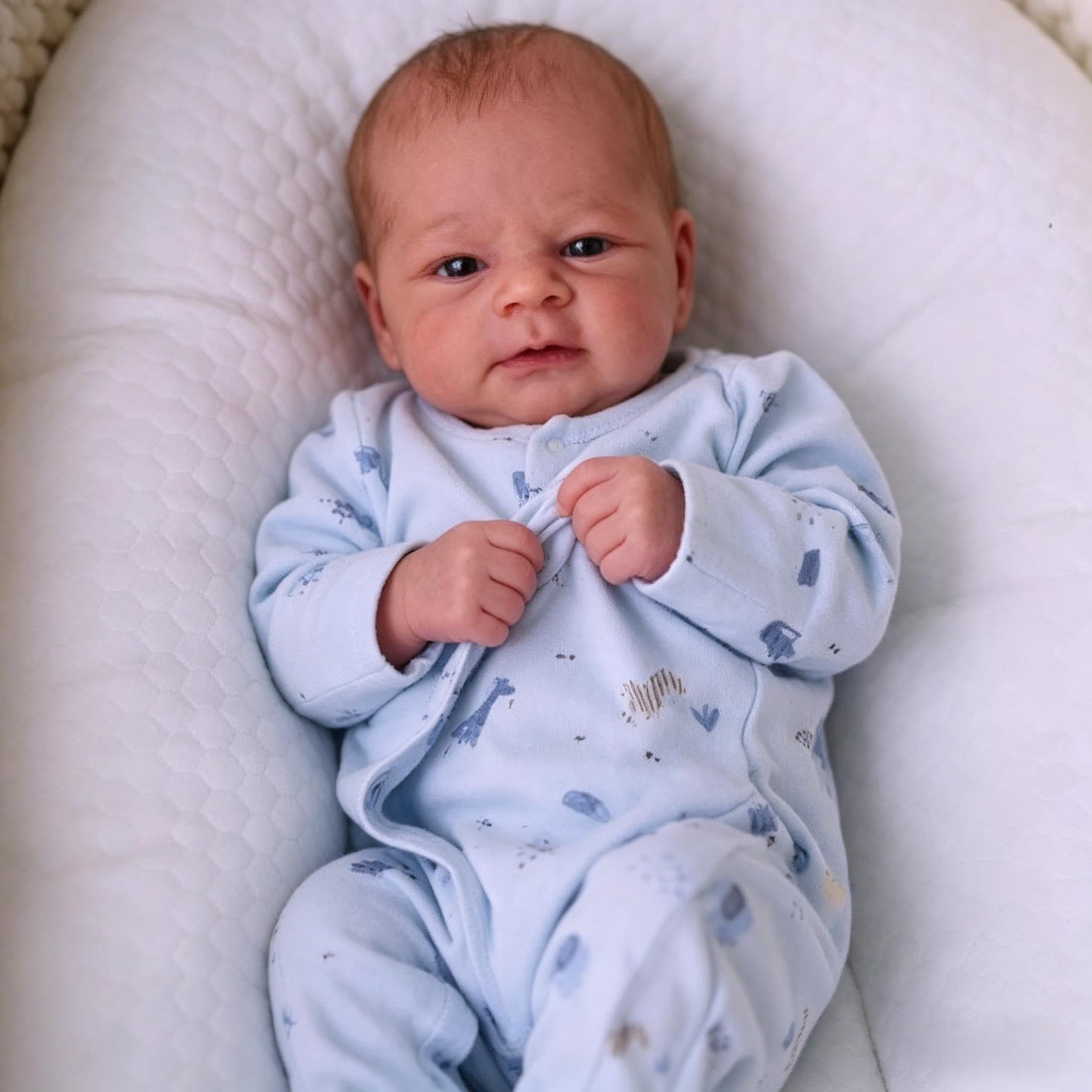 RXDOLL Lifelike Reborn Baby Dolls Silicone Full Body Boy 17 Inch Realistic Baby Doll Real Life Full Silicone Baby Dolls Anatomically Correct Boy Doll Toys for Kids Gifts