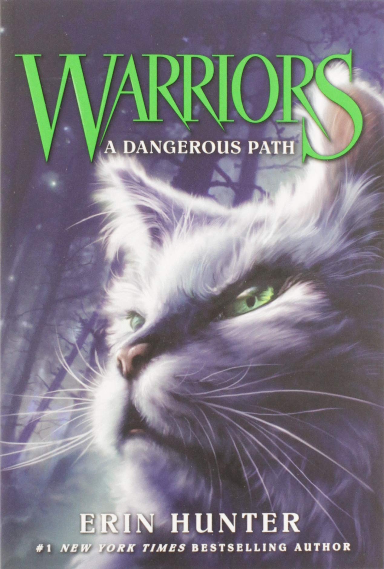 HarperCollins Warriors #5: A Dangerous Path