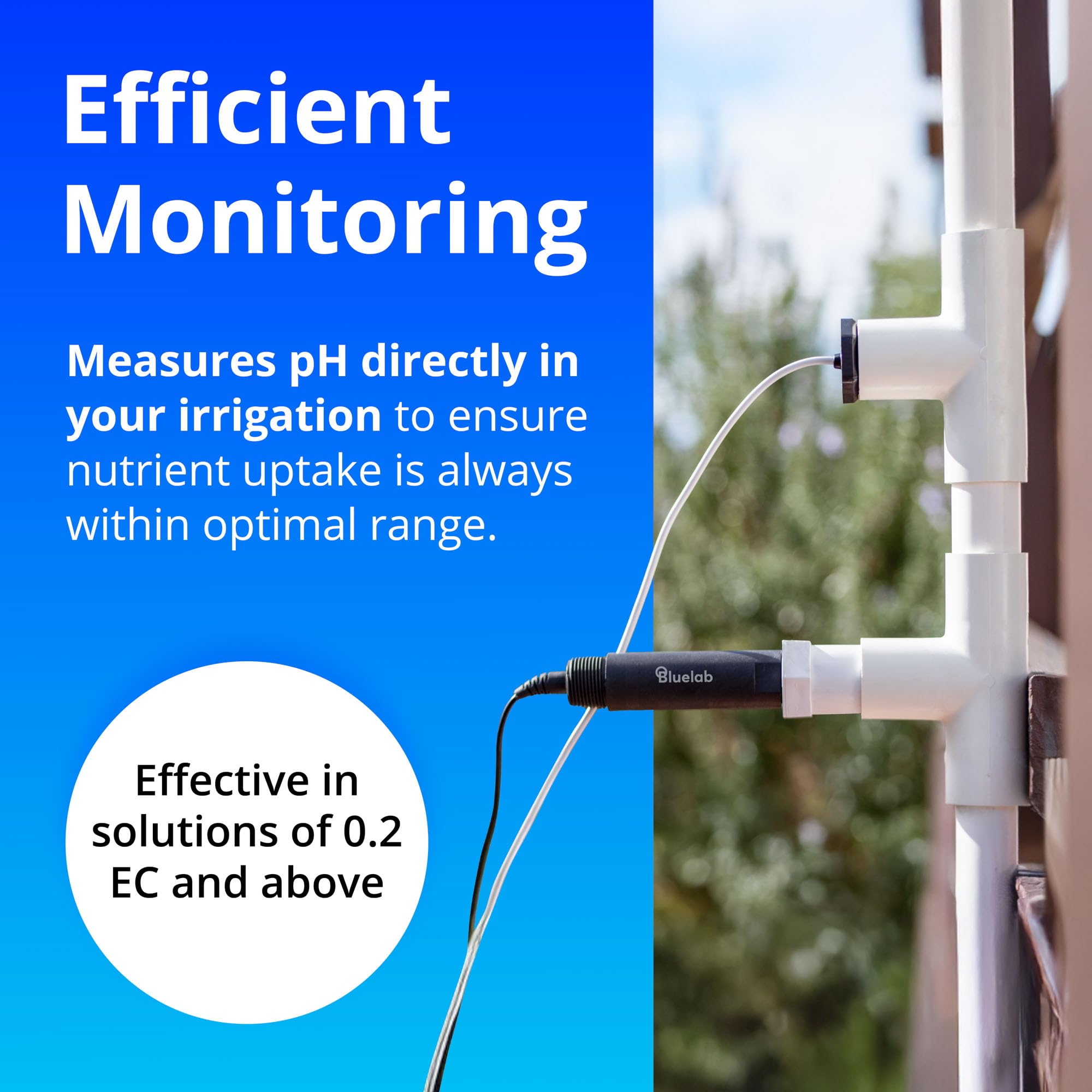 Bluelab probphin Inline PH-Sonde (Ersatzsonde Guardian Monitor Connect Inline-)