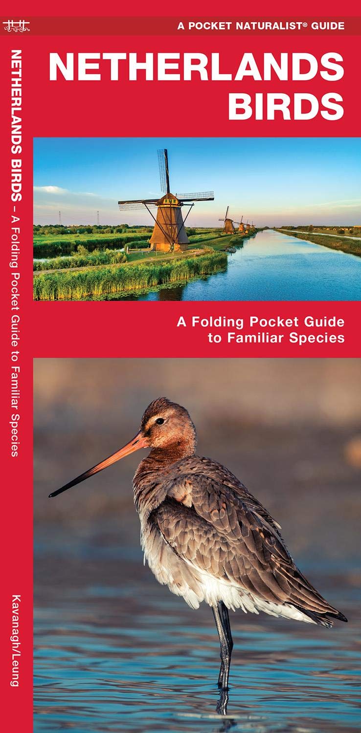 Netherlands Birds: A Folding Pocket Guide to Familiar Species