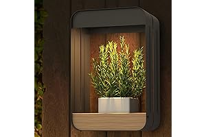 Grand Patio Solar Light Wall Sconce