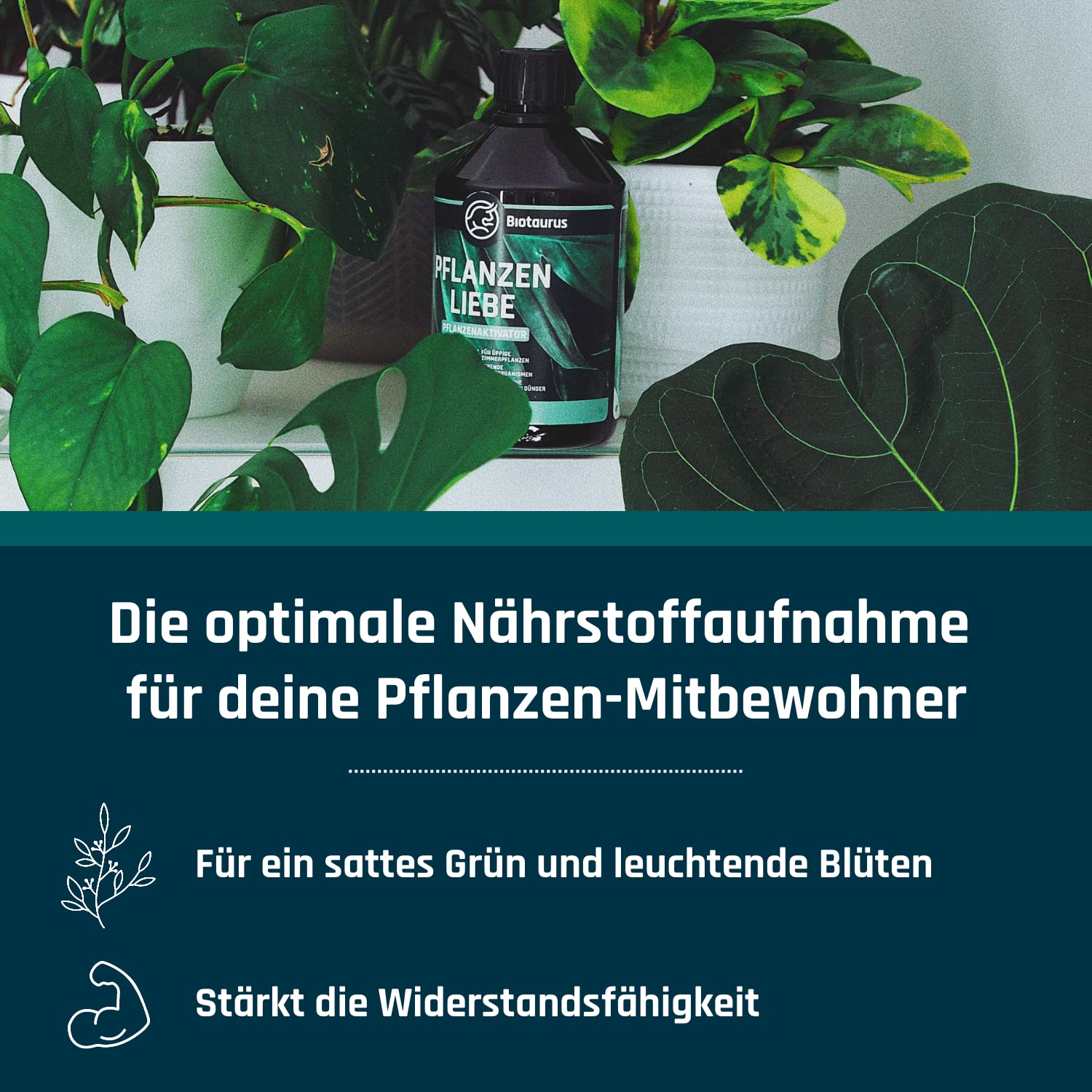 junglück aloe vera spray Aloe Vera Gel main image 0