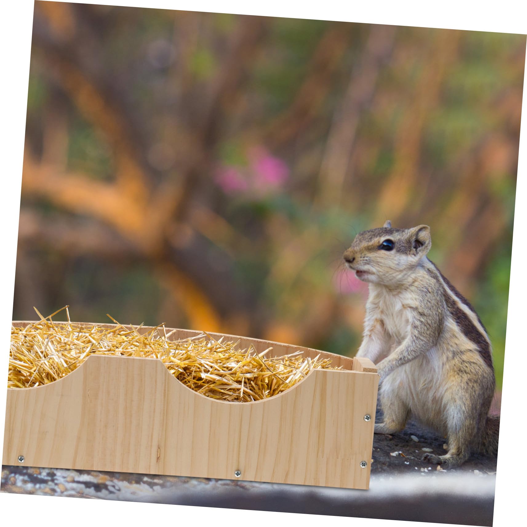Hasengestell mit Aufbewahrungsnut und Holzfutter Großer Futternapf zum Aufhängen mit Fixator für Kaninchen und Hamster Einfach zu Verwenden