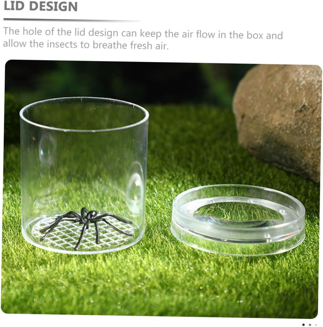 Toddmomy 5Pcs Portable Insect Observation Boxes with Magnifying Lid Lightweight Bug Jars with Ventilation for Outdoor Nature Exploration and Science Learning