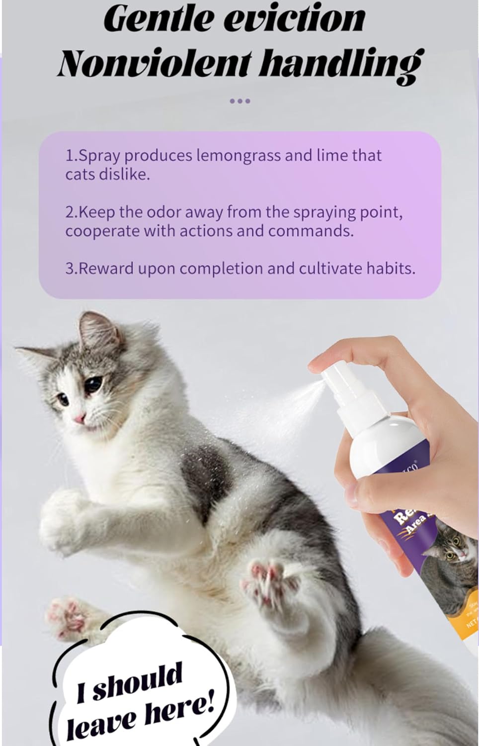 Cat Repellent Spray, Natural Citrus Scent - Cat & Dog Training Aid to Protect Furniture, Set Boundaries, Non-Toxic Deterrent, 100ml