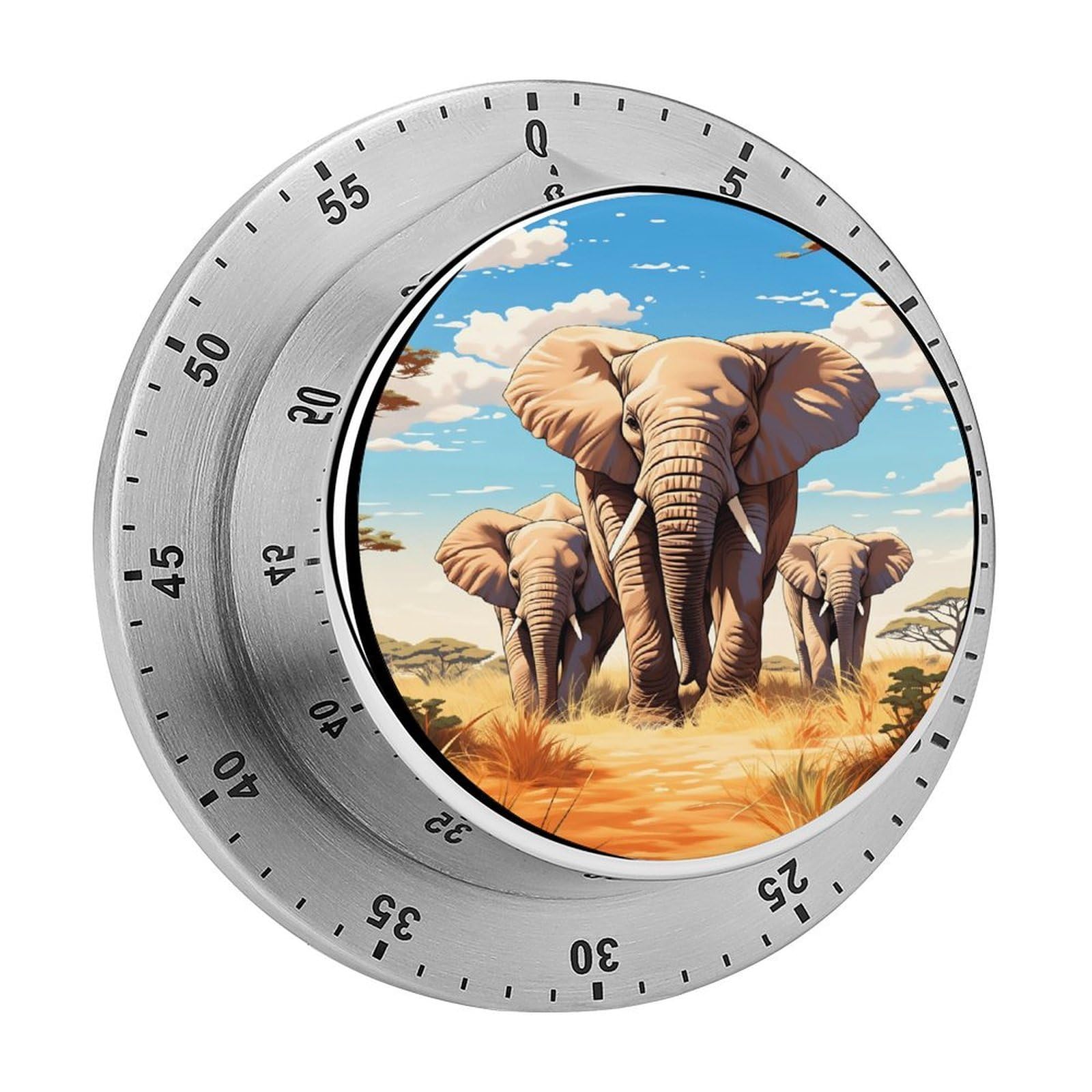 Elephant Family 60 Minute Wind Up Timer,Visual Mechanical Magnetic Timer with Loud Alarm for Kitchen