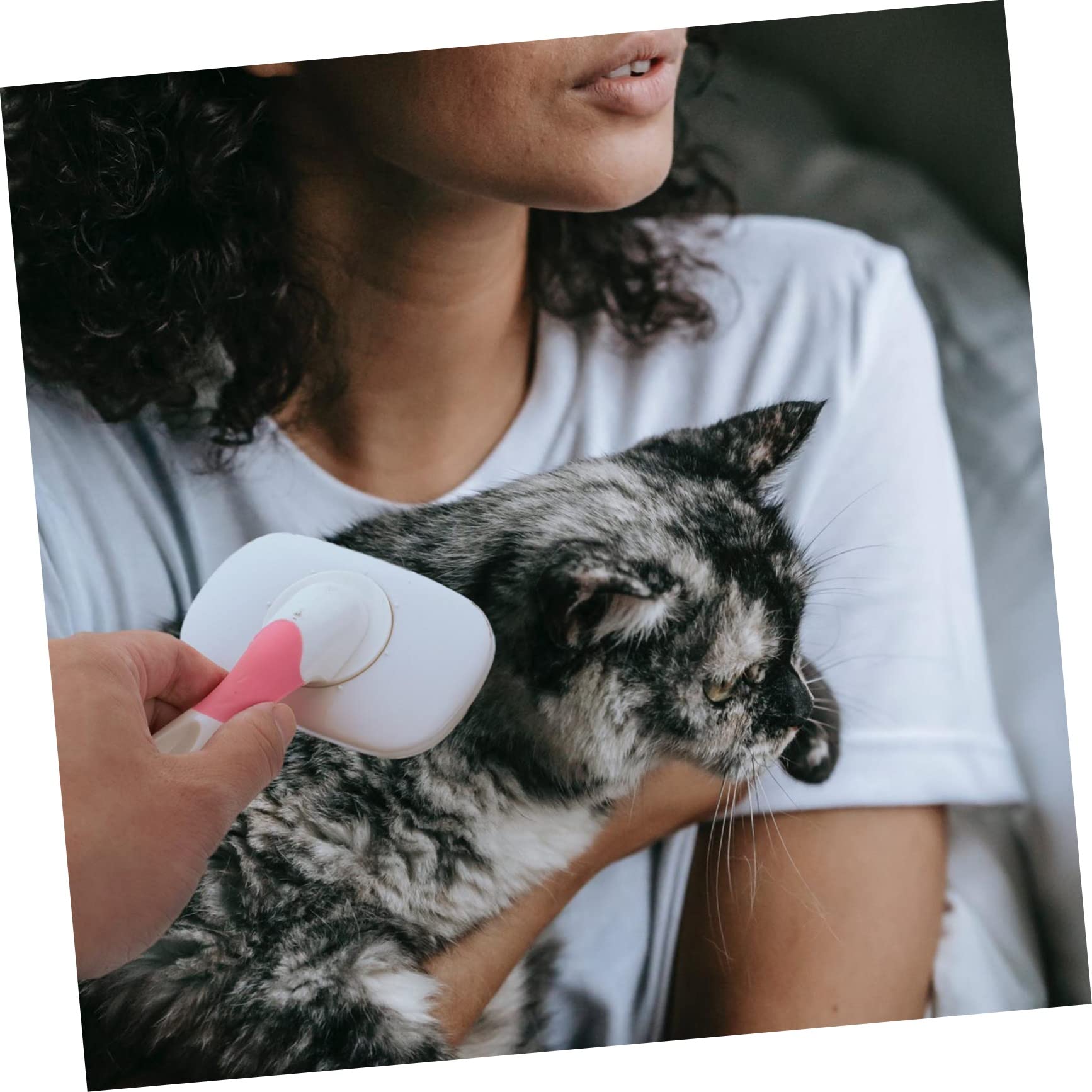 FRCOLOR 3piezas Cepillo De Masaje Para Mascotas Cabeza Giratoria Cepillo De Limpieza Para Perros y Gatos Accesorio Ergonómico Para Cuidado Del Pelaje Paraiminar Pelo Muerto y Flotante