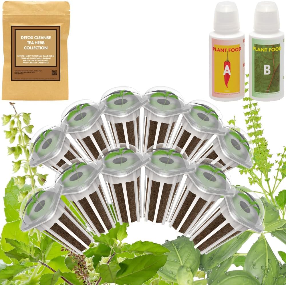 Herbal Tea Seeds Pods Kit Plant Compatible with AeroGarden