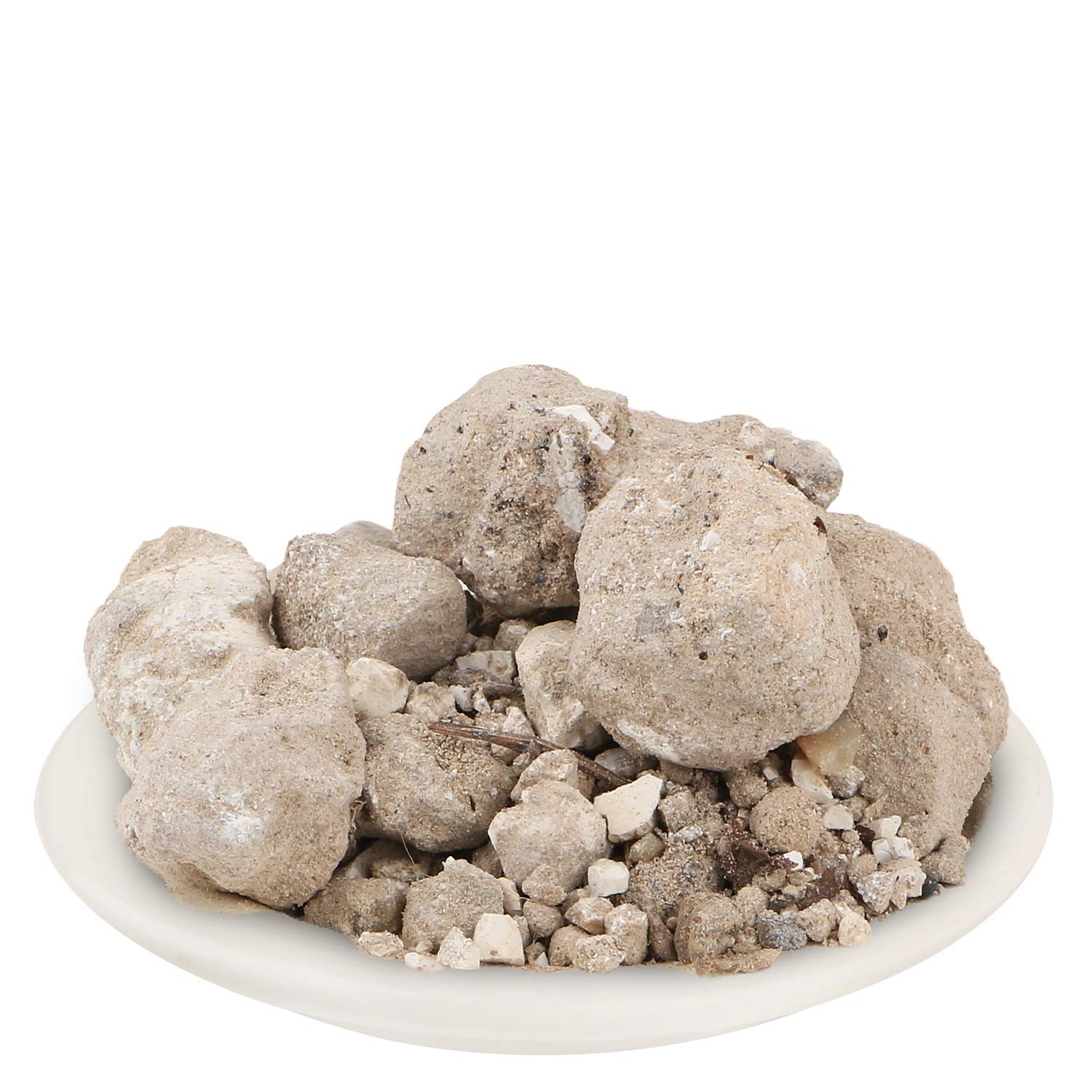 YUVIKA Banslochan Asli - Bambusa Arundinacea Willd. - Bamboo Champhor (100 GM)