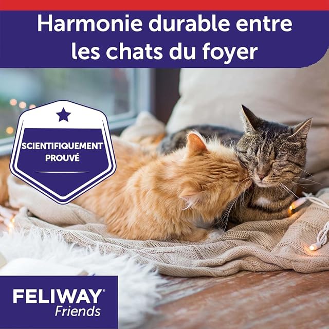 Foto 5 de 8 de FELIWAY Friends 30 días - 1 Recambio para difusor de feromonas calmantes para Gatos (48 ml)