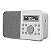 MangoKit MD3 DAB/DAB+ und UKW Tragbares Digitalradio, Bluetooth ...