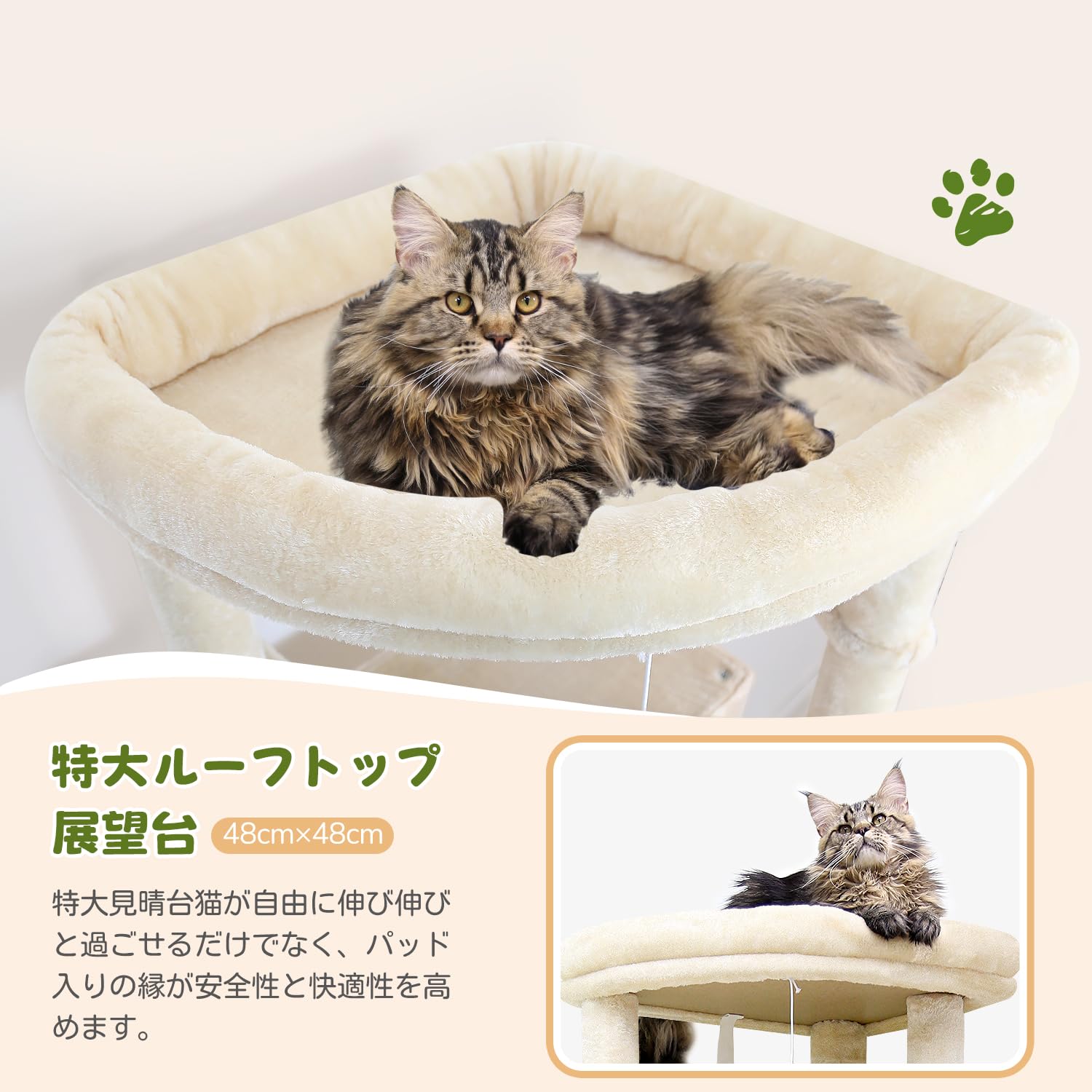 Amazon | Globlazer キャットタワー 据え置き型 超スリム 猫タワー