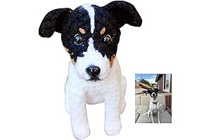 Custom Crochet Pet Doll: A Unique Keepsake