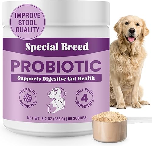 Probióticos para perros  Probióticos en polvo para perros para la salud digestiva, apoyo intestinal y refuerzo inmunológico  Mezcla premium con