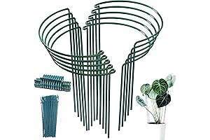 TCBWFY Hydrangea Stakes (10)