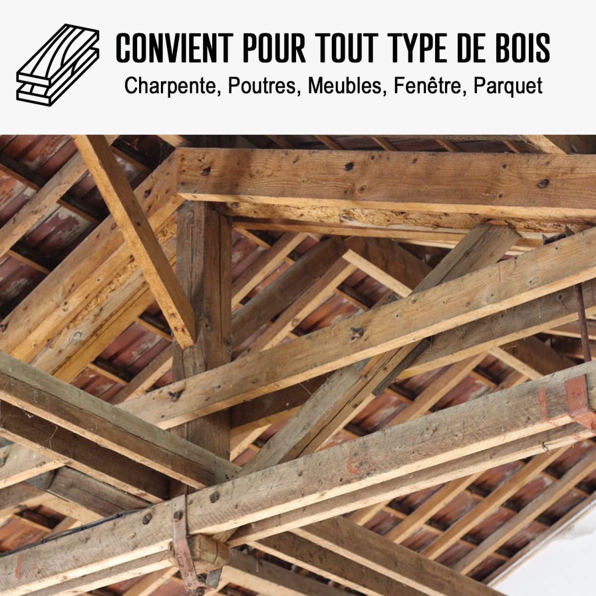 Traitement mérule, produit extérieur ou intérieur - 20 L - ARCANE INDUSTRIES