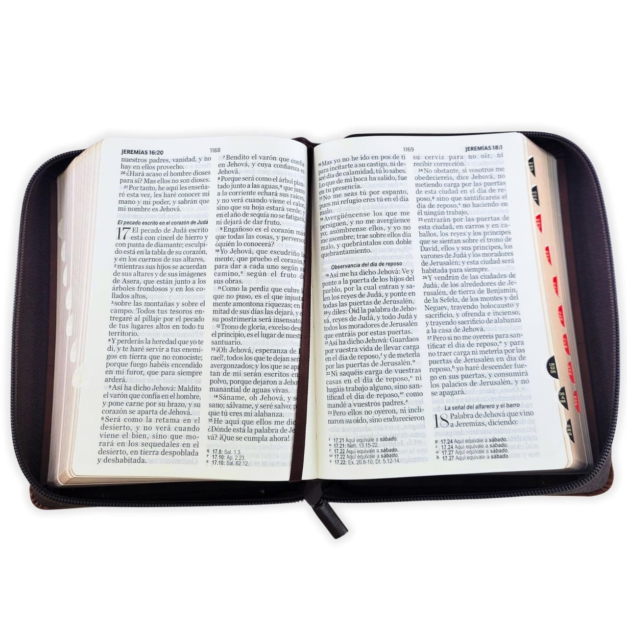 Biblia Compacta Reina Valera 1960 Letra 11 puntos con Cierre imit piel duotono cafe silueta de leon con indice      Imitation Leather – January 1, 2026
