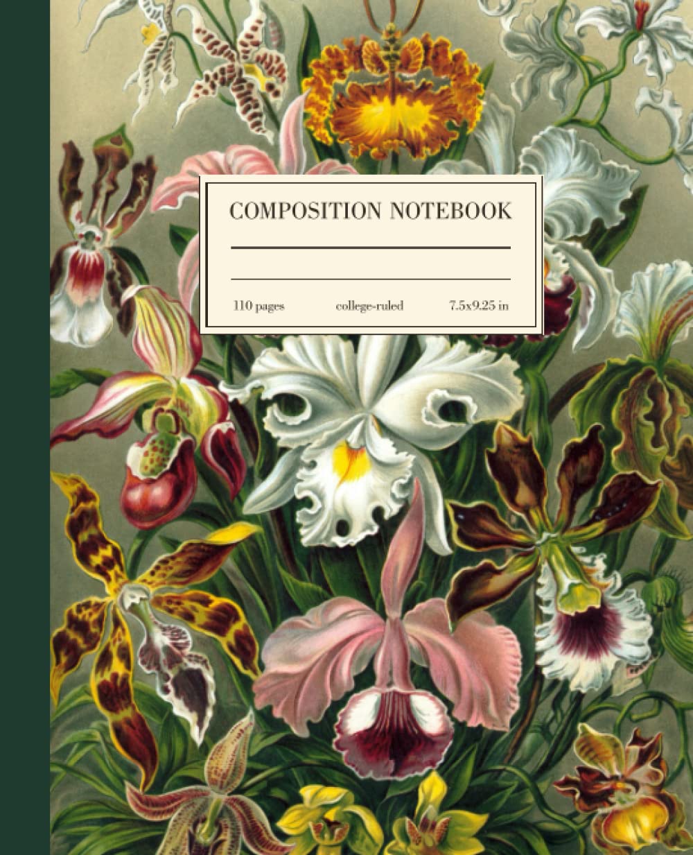 Composition Notebook College Ruled: Orchid Flower Vintage Botanical Illustration | Cute Aesthetic Journal For Girls, Teens, Women | Wide Lined