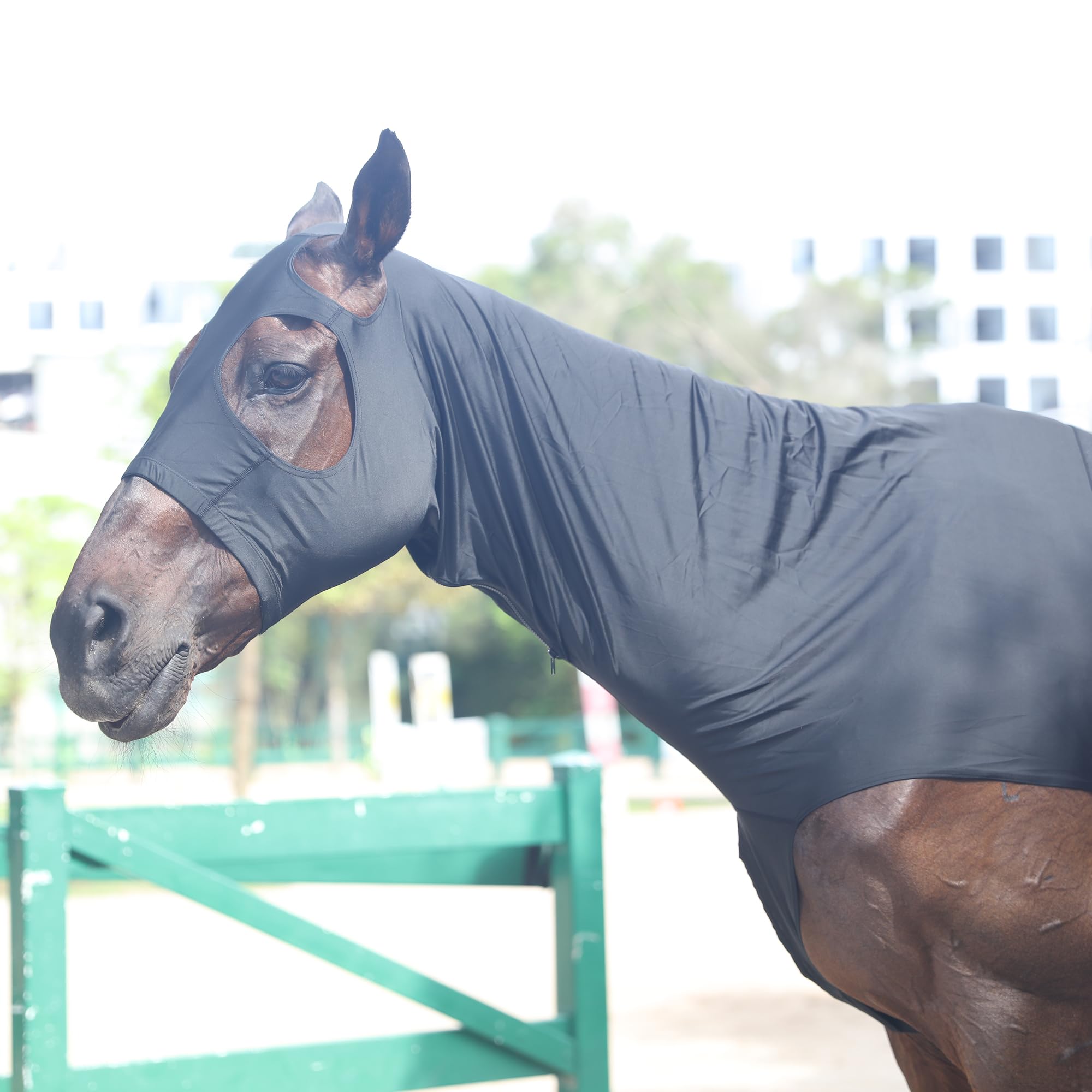 Cappottino da cavallo in tessuto Lycra elasticizzato con cerniera rinforzata e chiusura in velcro regolabile, cappuccio testa di cavallo con copertura integrale per il collo, nero, XXL