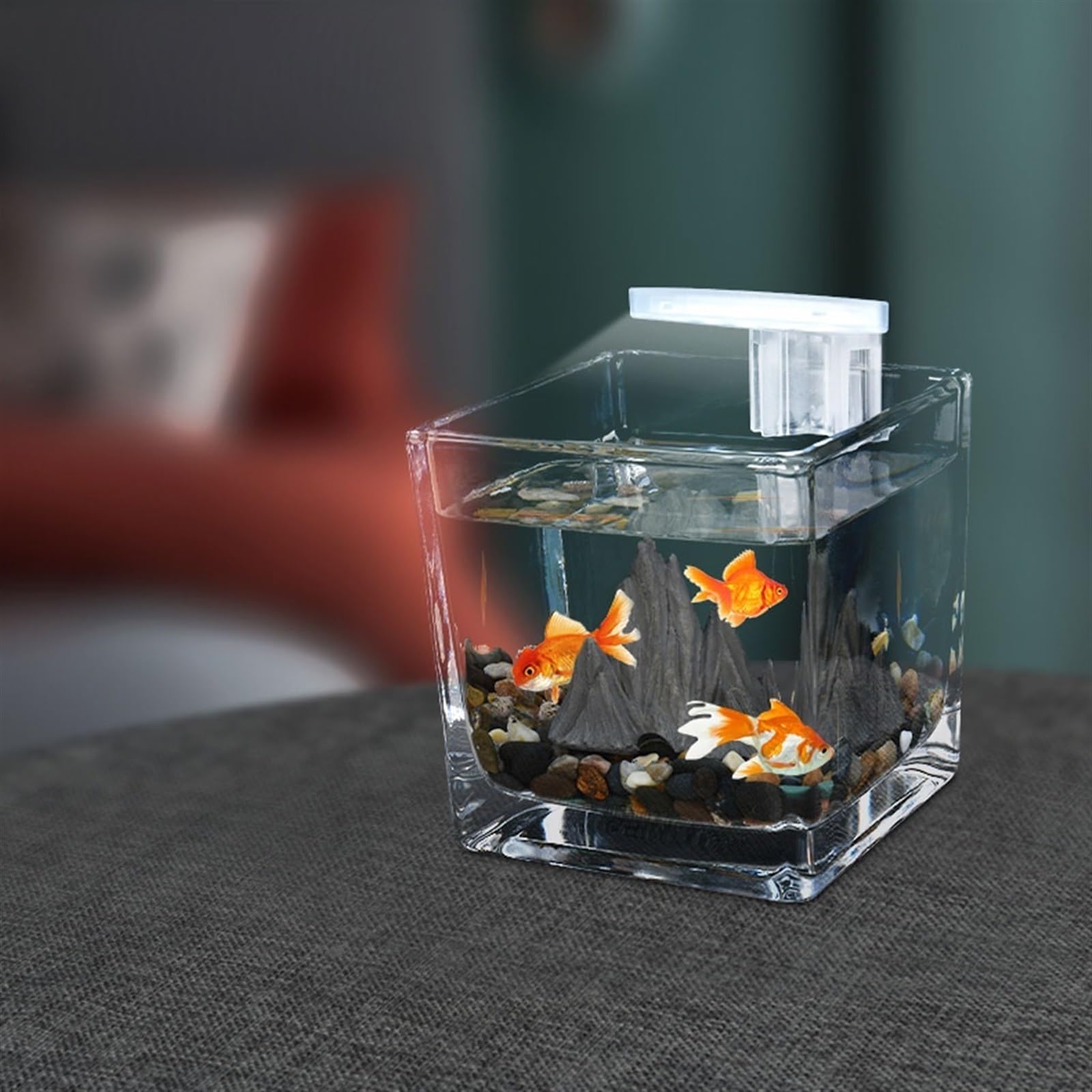 Acuario Pecera Pequeña Escritorio Cuadrado Acuario Ecológico Micro Paisaje Habitación De Invitados Oficina Pequeños Adornos Taza De Té Vidrio Paisaje Rejilla Pecera Peces Acuario(Grande)