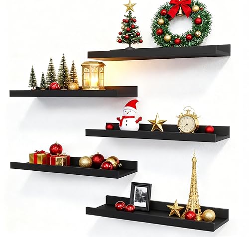 RICHER HOUSE 5 Set Floating Wall Mounted Shelves, Black Shelves