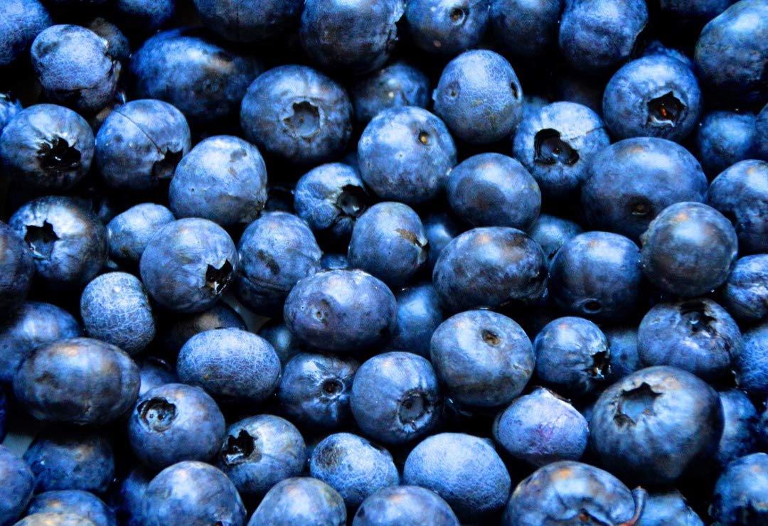 London Fruit & Herb Co Blueberry Bliss 20 Bags (Pack of 4)