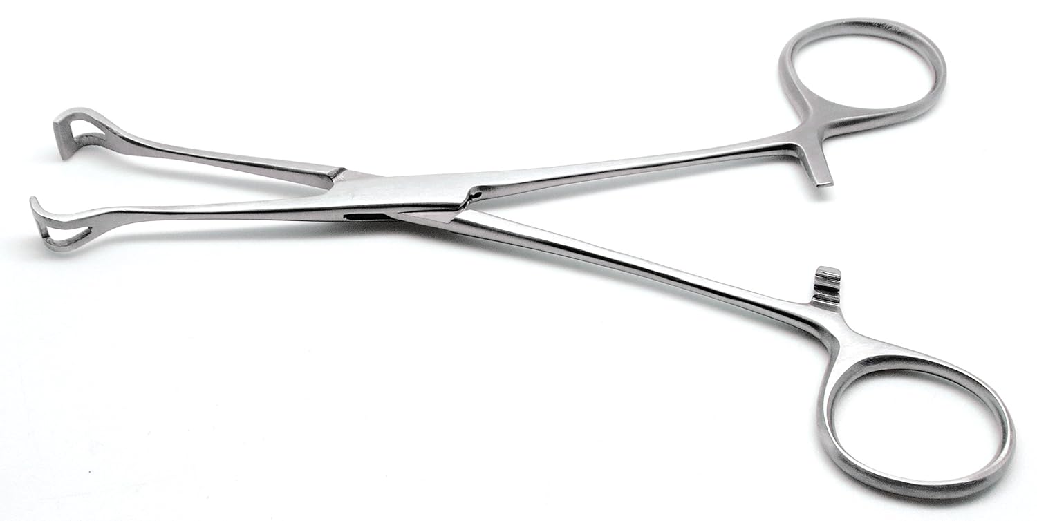 10× Babcock Tissue Forceps 6.4" Surgical Intestinal Veterinary Stainless Steel Instruments