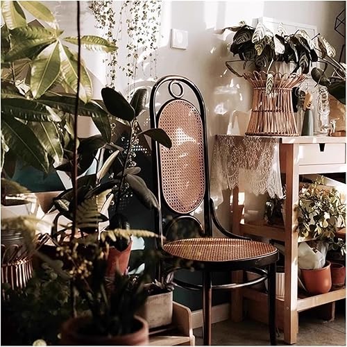 Miniatura 2 de sillas de comedor Silla de comedor de madera maciza con respaldo alto Hotel Restaurante Ocio Escritorio de ratán Cocina moderna