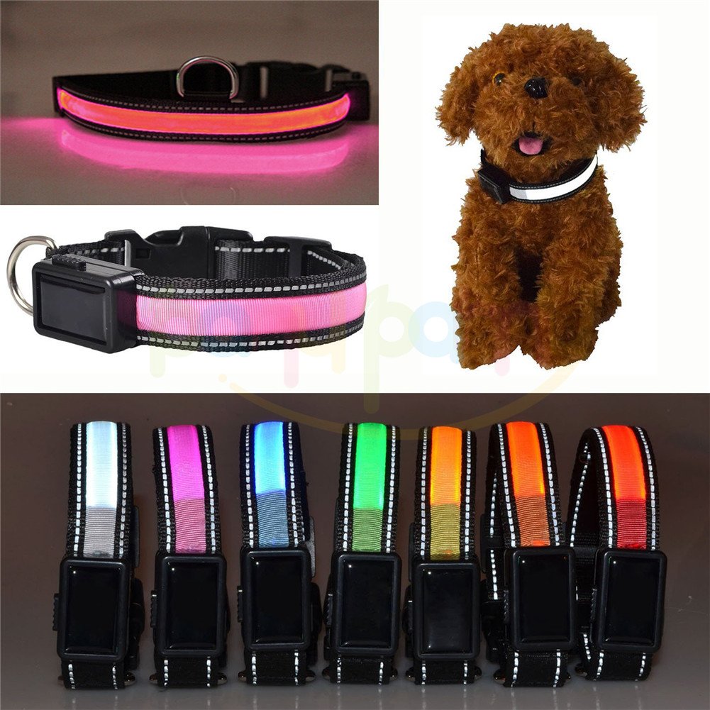 Collare Luminoso Per Cani Ricaricabile USB, Collare LED - Foto 6