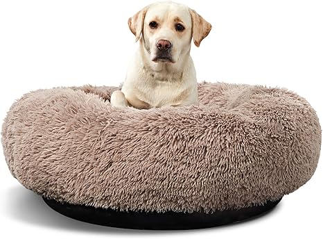 large round dog bed