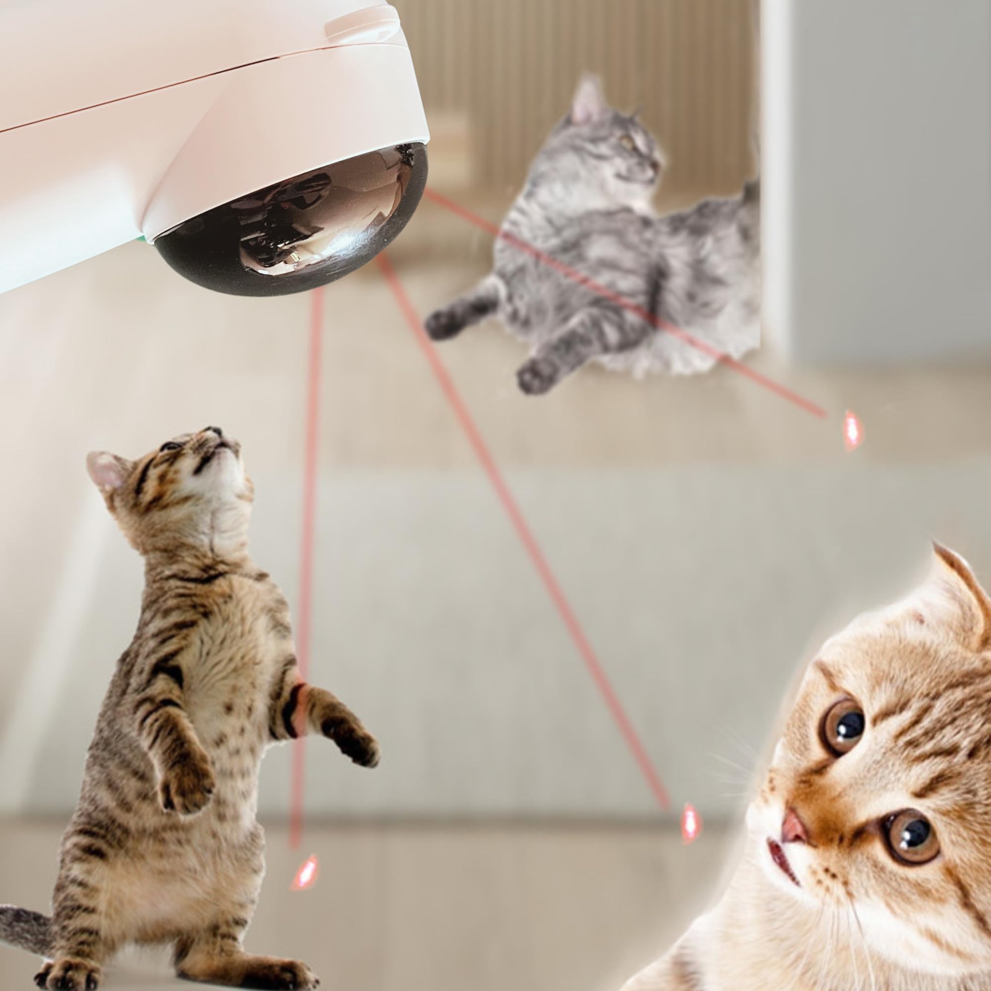 HANAA Katzespielzeug,Interaktives Katzenspielzeug für Katzen, Laserpointer, Elektrischer Laserpointer, Beste Toys für Kätzchen, Katzenlaserpoint, Intelligenzspielzeug, weiß