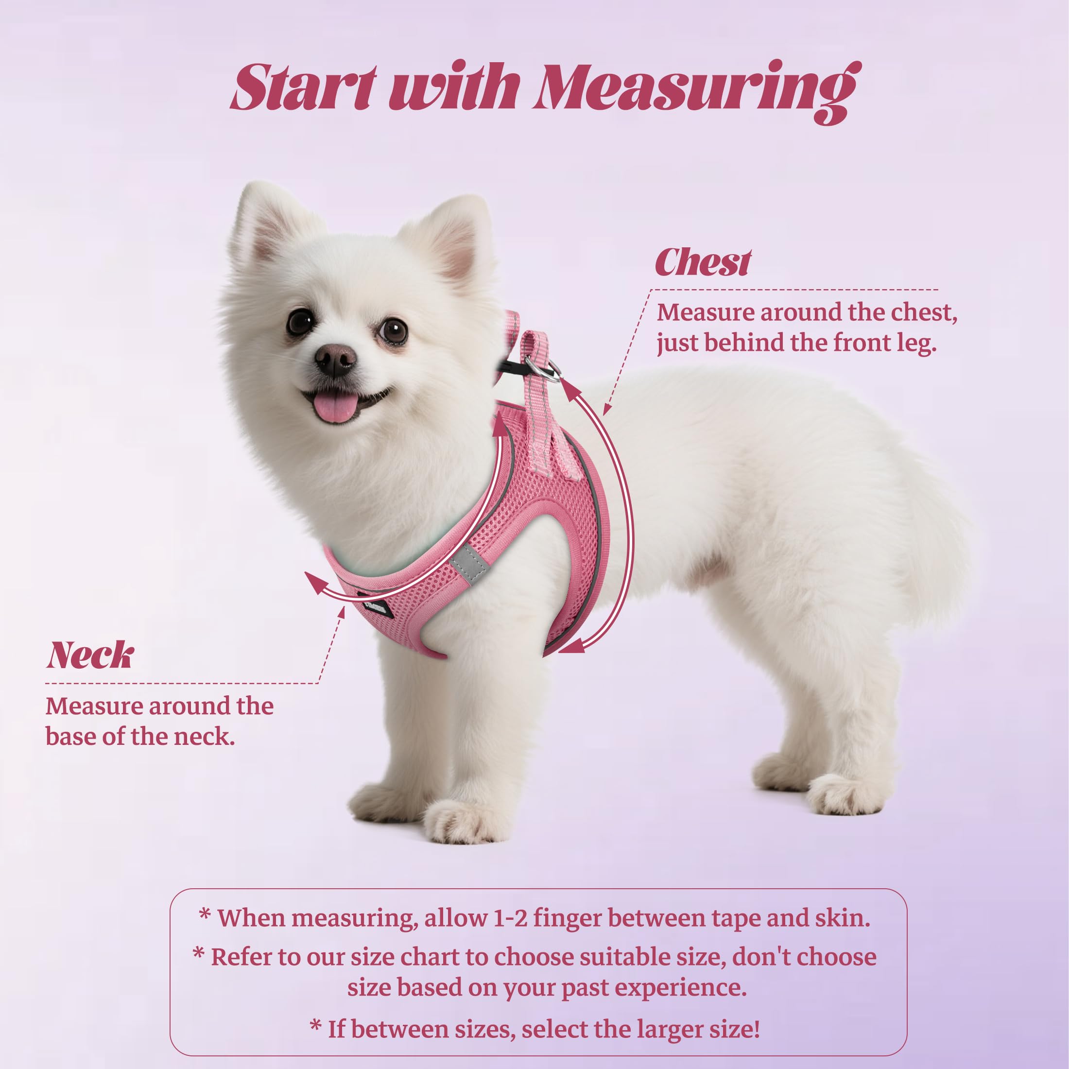 YIMEIS Juego de arnés y Correa para Mascotas, antitirones, de Malla, Suave, Chaleco, Reflectante, Ajustable, para Perros de Todos los tamaños, Cachorros y Gatos, M, Rosa