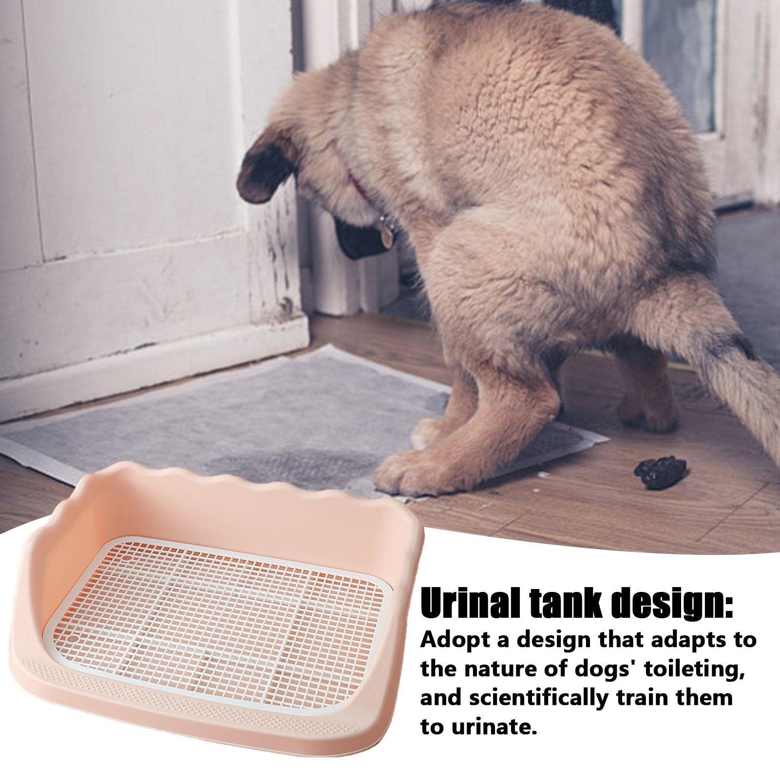 Hondenpotje voor binnen | Hondenpotje voor binnen met beschermwand - Dog Pad Holder Mesh Training Tray Pet Toilet voor poten droog en vloeren schoon Smashing