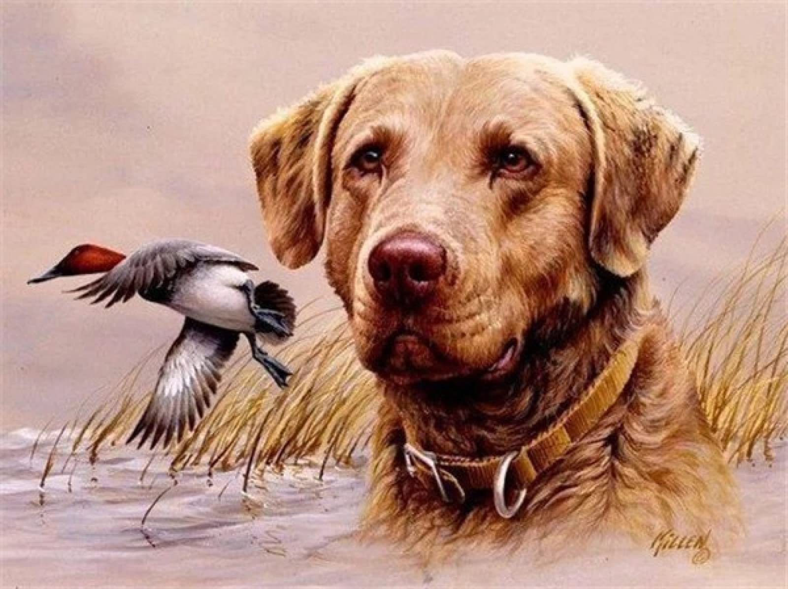 Peinture diamant 5D chien à offrir en cadeau créatif original pour les passionnés d'animaux