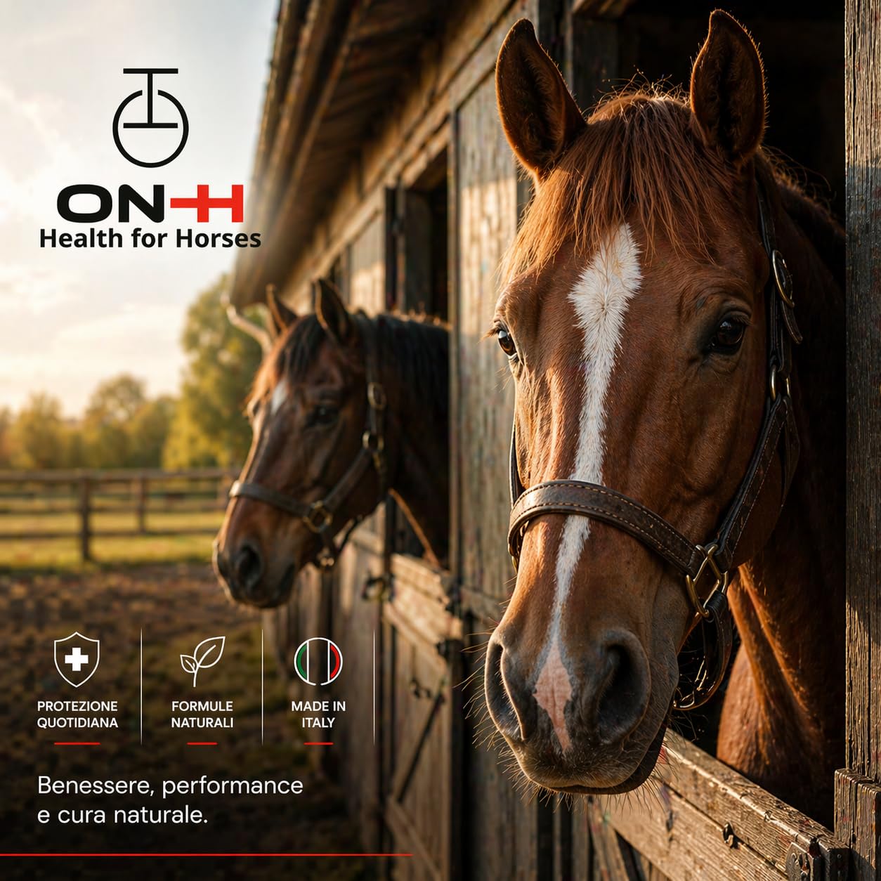 ON-H Hoof Empower 500 ml | Igienizzante e Rinforzante per Zoccoli Cavalli | Protegge da Umidità e Impurità - Favorisce Struttura Forte e Sana | Ideale per Uso Quotidiano in Scuderia
