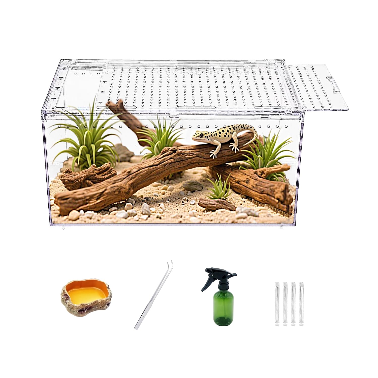 Amazon | Reptile Growth 【組み立て不要】マグネットボタン付き爬虫類