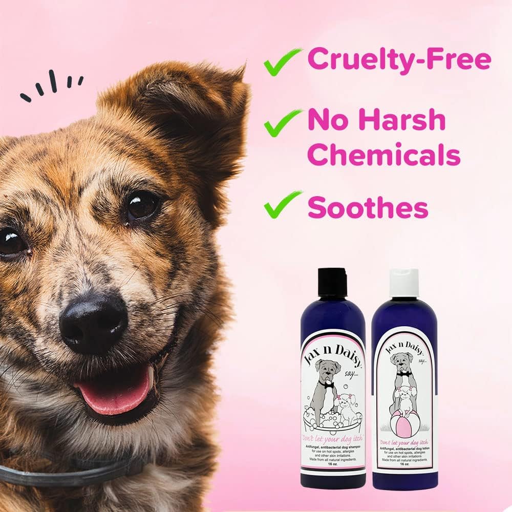 The 7 best smelling dog shampoo Scented Tails