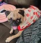 Review Image by Joy Trombetta Joy Trombetta