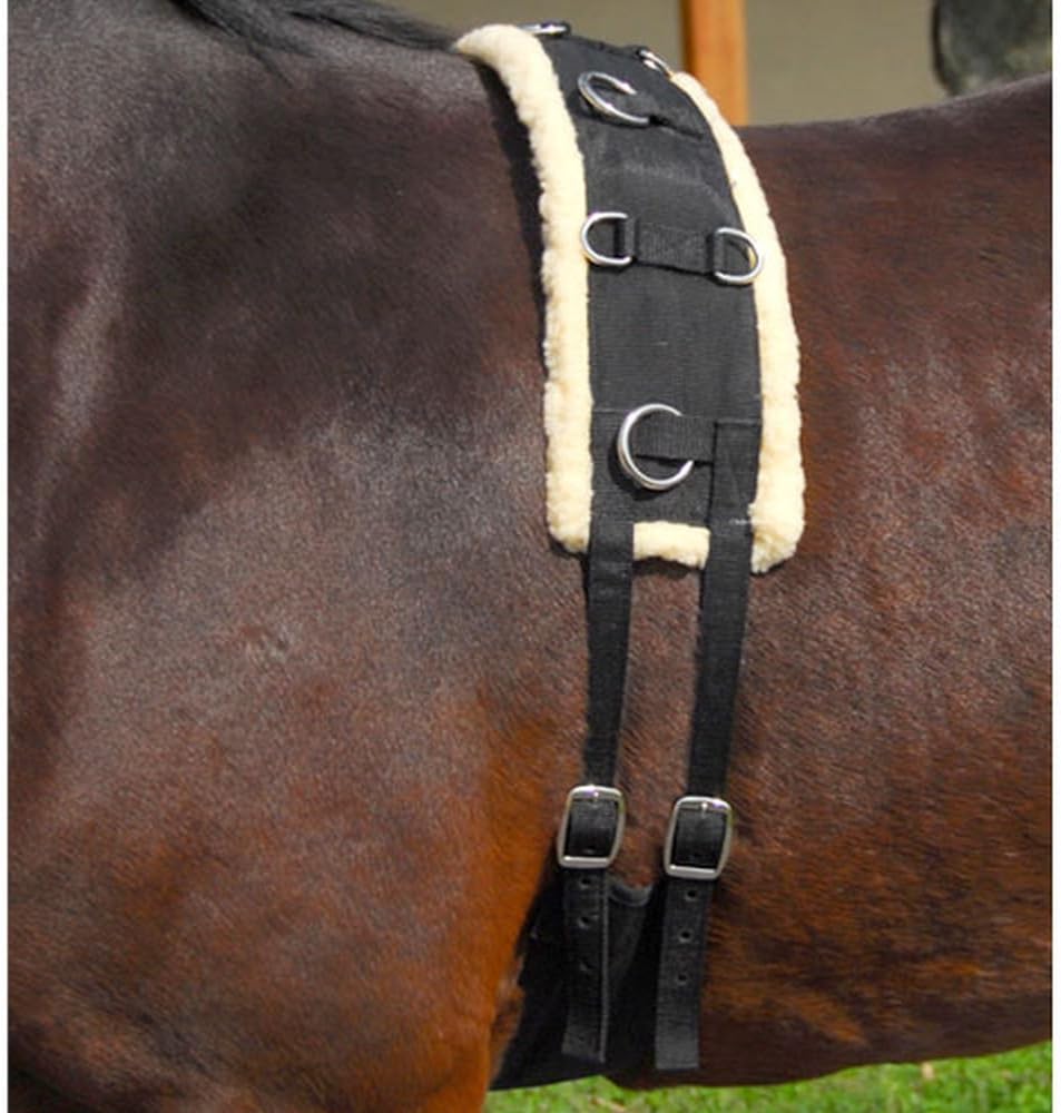 Intrepid International Fleece Lined Nylon Surcingle