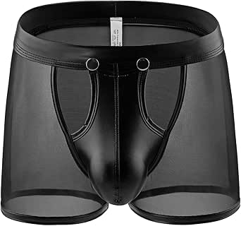 Evankin Men's Boxer Briefs Sexy Underwear Mesh Breathable Gay Low Rise