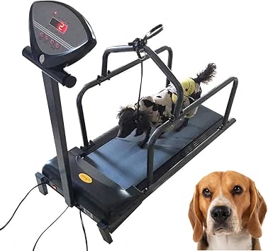 Dog Treadmill, Pet Training Machine with LED Display Screen, Walking Dog Pet Smart Training Equipment, Load 176lbs, Best for Pet Exercise and Weight Loss