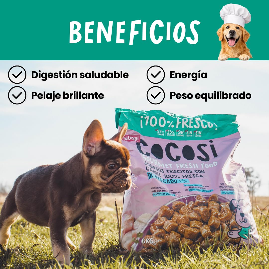 Pienso para Perros con Pollo y Pescado Fresco (2 x 6 kg) + Rodillo Quitapelos | Pienso Hipoalergénico Perros | Comida para Perros Adultos 100% Natural (Pescado) (Pollo)