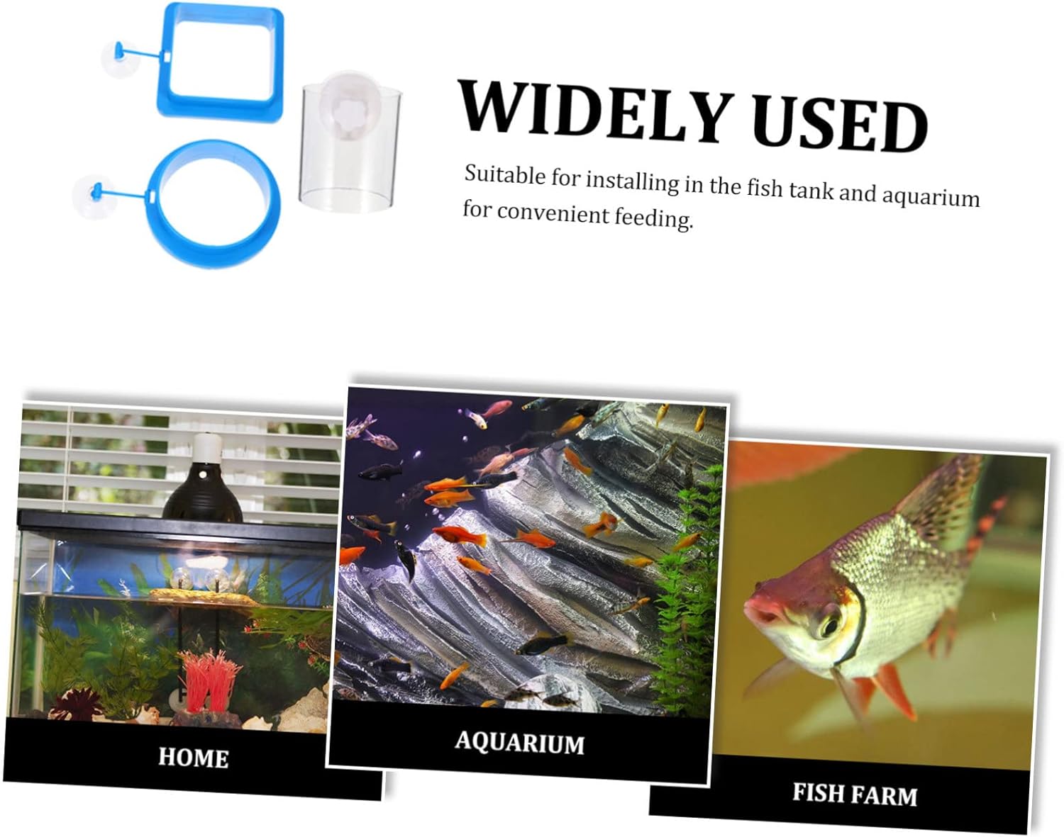 balacoo 12pcs Floating Fish Feeding Rings Durable Feeding Circles for Aquariums Prevents Food to Install Suction Cup for Tropical Fish and Tanks
