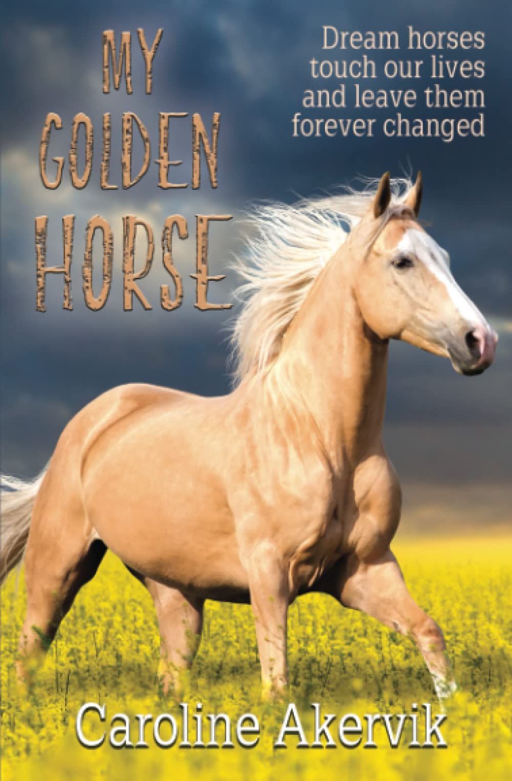 My Golden Horse: 2 (Dream Horses)