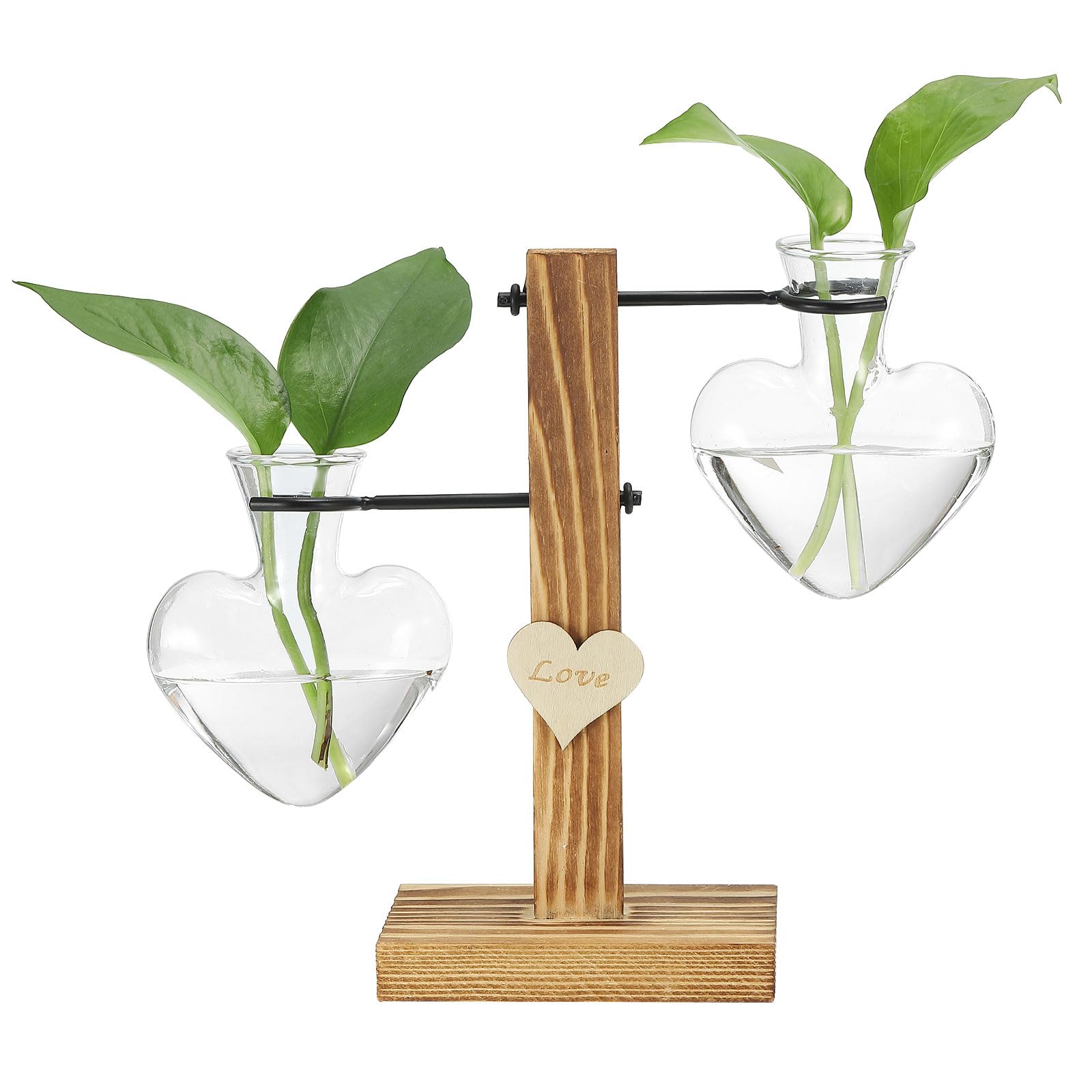PATIKIL Retro Desktop Plant Terrarium 7.5x7.9inch