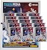Lisanslı Panini Paninipedia Space Stickers Albümü + 15 Paket (75 Adet) Çıkartma