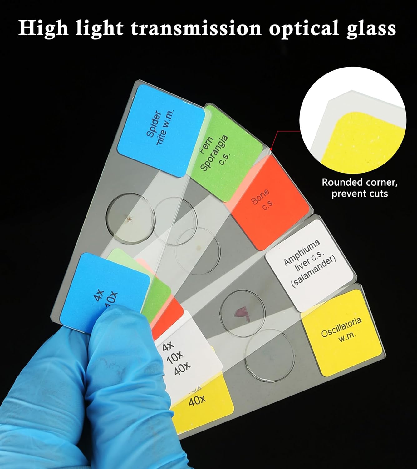 120 Microscope Slides with Specimens Set, Lab-Grade Prepared Microscope Slides for Kids Adults, Animal/Plant/Microbe/Tissue/Cells, STEM Biology Kit for Homeschool, Classroom Labs & Science Education - Image 5