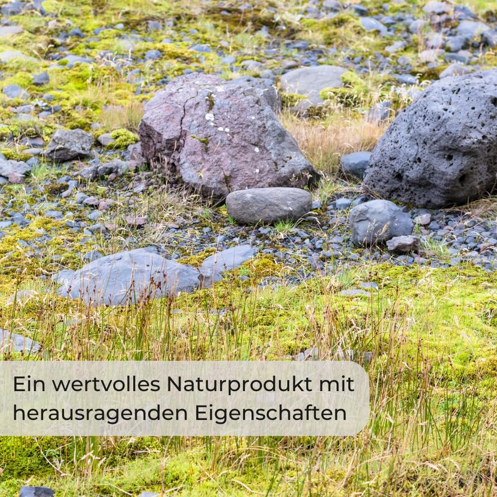 Edelbims 20 L 100% Natürlicher Bimsstein Bims Granulat Bimskies Drainage Pflanzgranulat Hydrokultur Dachbegrünung Mulch Substrat (8/16 mm)