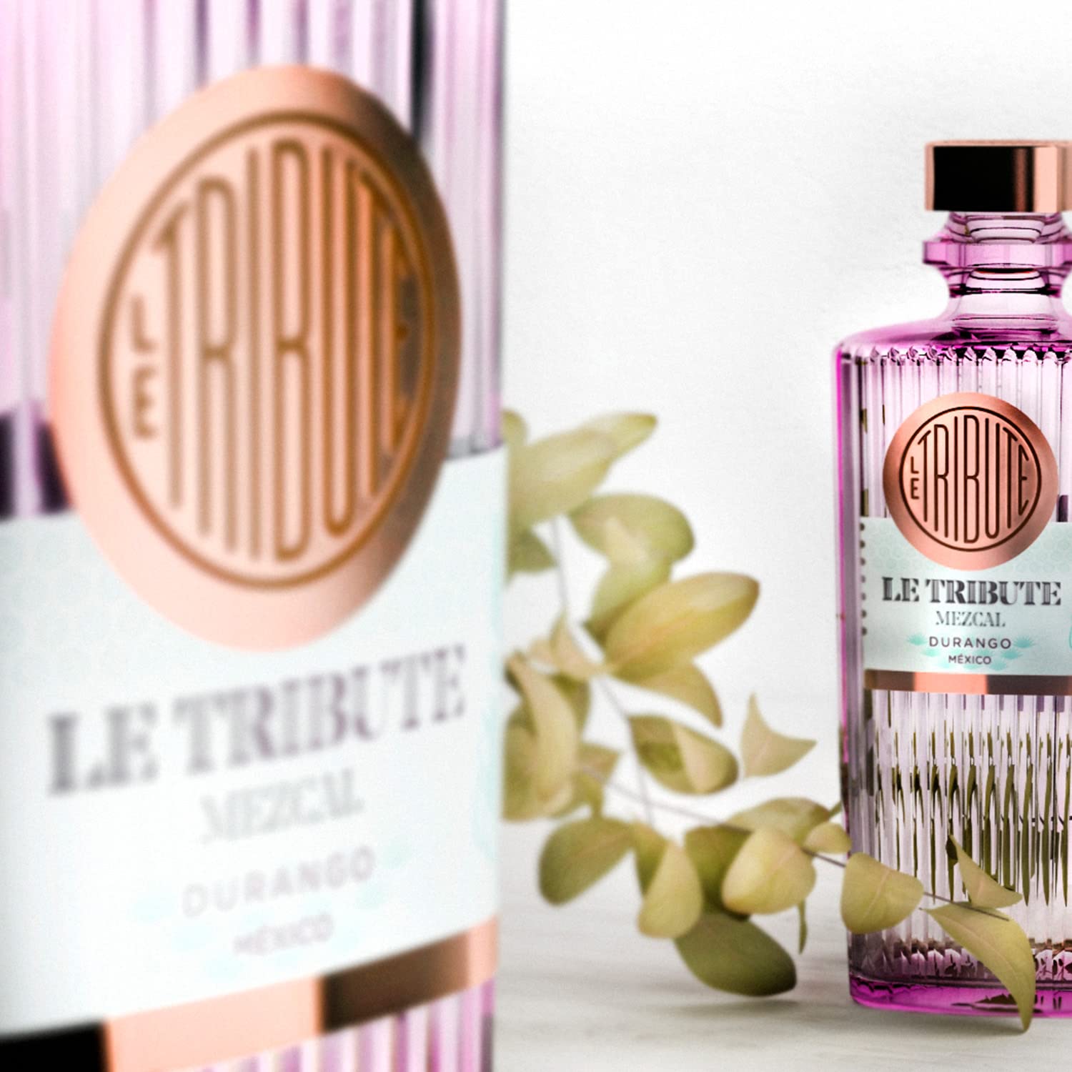 FRESH LE TRIBUTE GIN | Mezcal | 700 ml | Typische mexikanische Spirituose | In traditionellen vulkanischen Steinöfen gekocht | Von Hand produziert | Mit rauchigen Noten