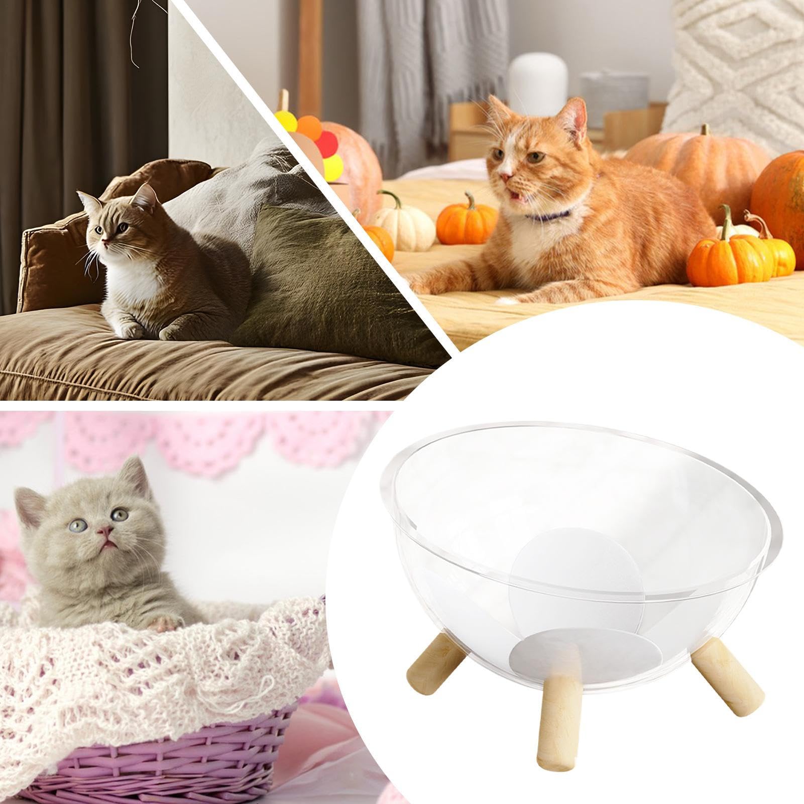 Schlafnest für Katzen mit Holzsockel – Korb für Katzen | Aktivitätshaus aus transparentem Acryl für Kaninchen | transparente Kuppel, Zubehör für Kleintiere, Raum, Aktivität, Erholung, Spiel